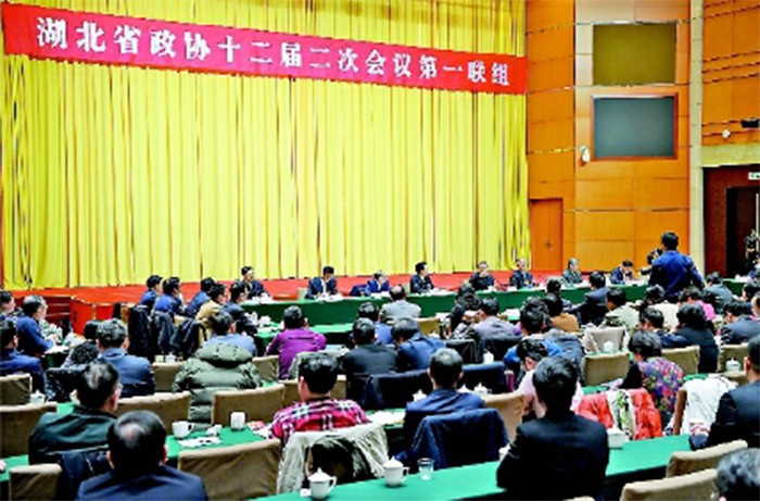 1547689154124064.jpg 1月16日下午,湖北省委書記蔣超良參加第一聯(lián)組討論并講話。.jpg