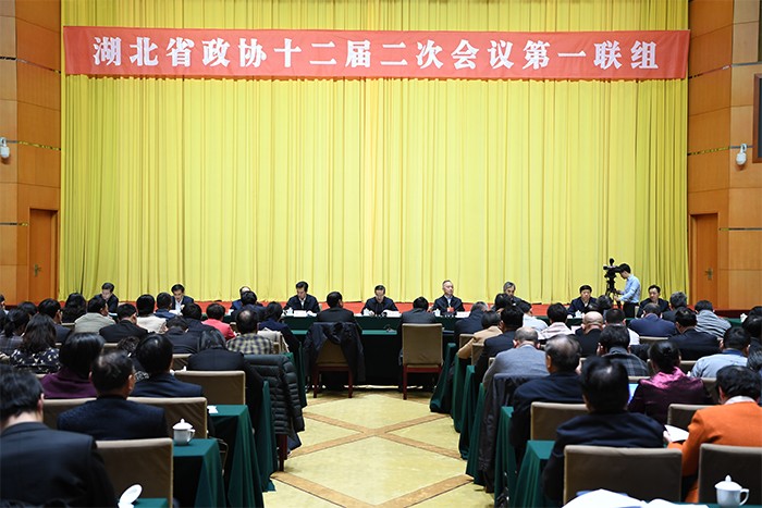 1547689575772291.jpg 1 1月16日,湖北省委書記蔣超良參加湖北省政協十二屆二次會議聯組會.jpg