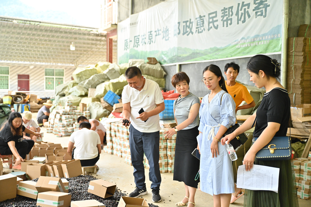 宣恩縣政協開展提案督辦“一線協商”助力電商產業(yè)發(fā)展 (2).JPG