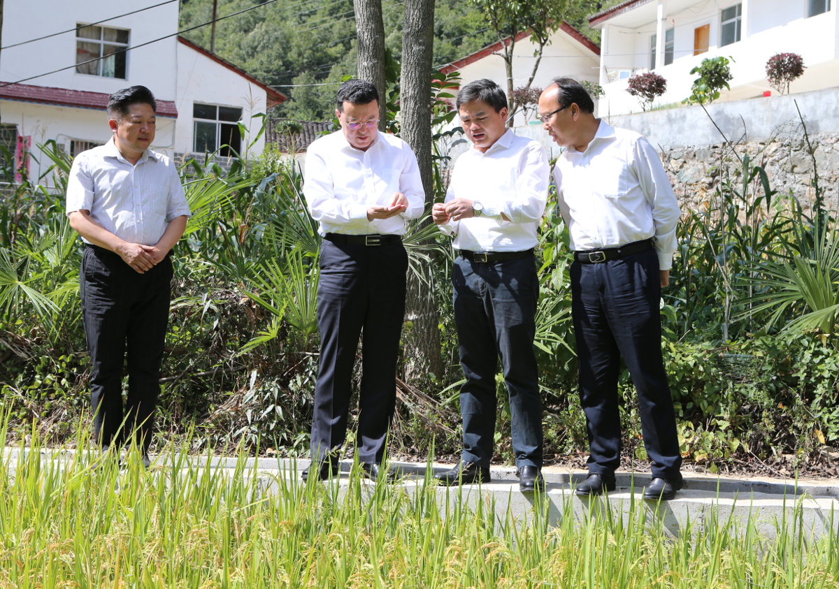 2022年9月6日至7日,省政協(xié)黨組副書(shū)記、副主席爾肯江·吐拉洪到神農(nóng)架林區(qū)調(diào)研鄉(xiāng)村振興和“一線協(xié)商·共同締造.jpg 2022年9月6日至7日,省政協(xié)黨組副書(shū)記、副主席爾肯江·吐拉洪到神農(nóng)架林區(qū)調(diào)研鄉(xiāng)村振興和“一線協(xié)商·共同締造.jpg