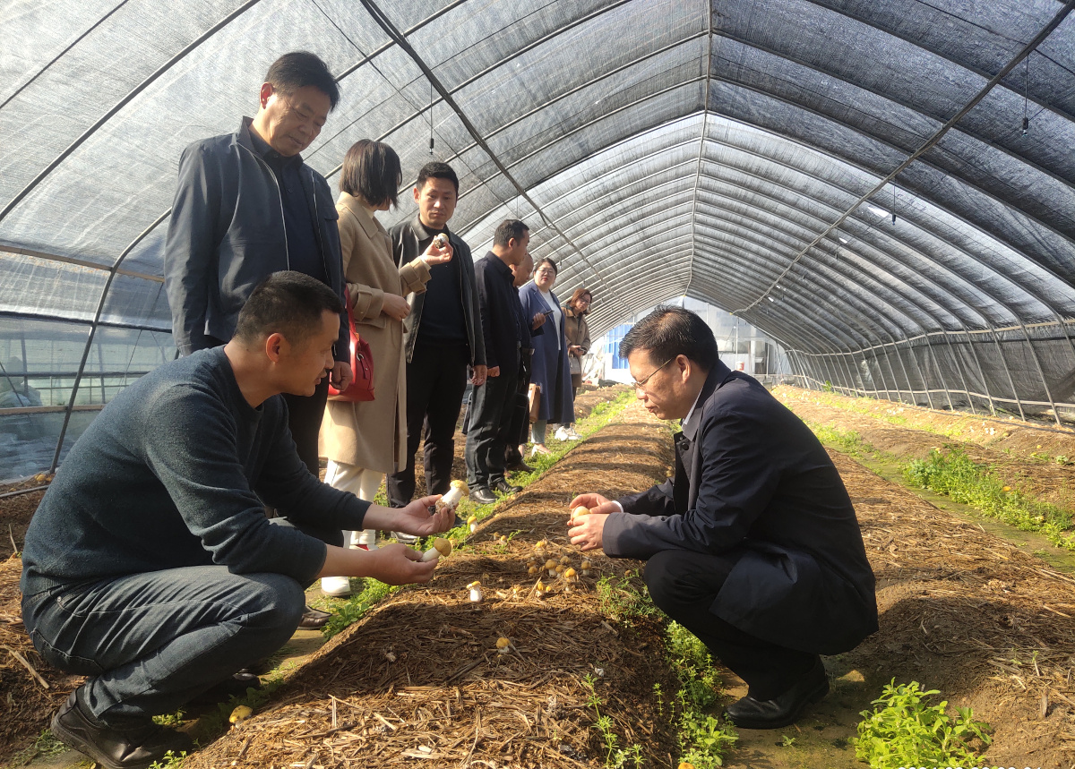 615D0402@7C02F169.777F0666 (1) (復件).jpg