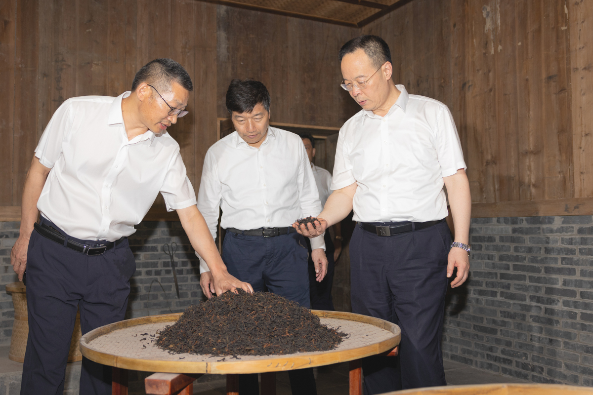 12588397.jpg 12588397.jpg