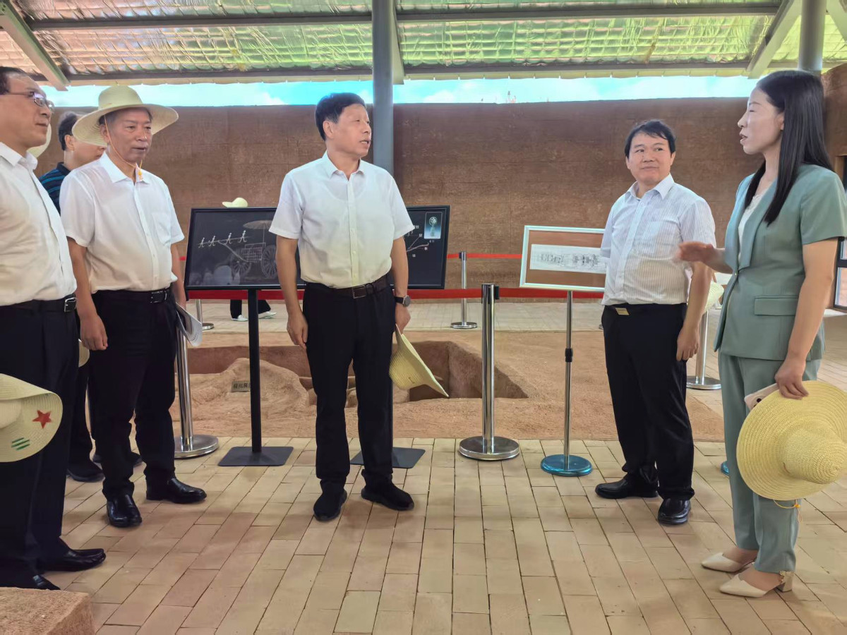 9月1日張維國在京山蘇家壟遺址調研.jpg 9月1日張維國在京山蘇家壟遺址調研.jpg